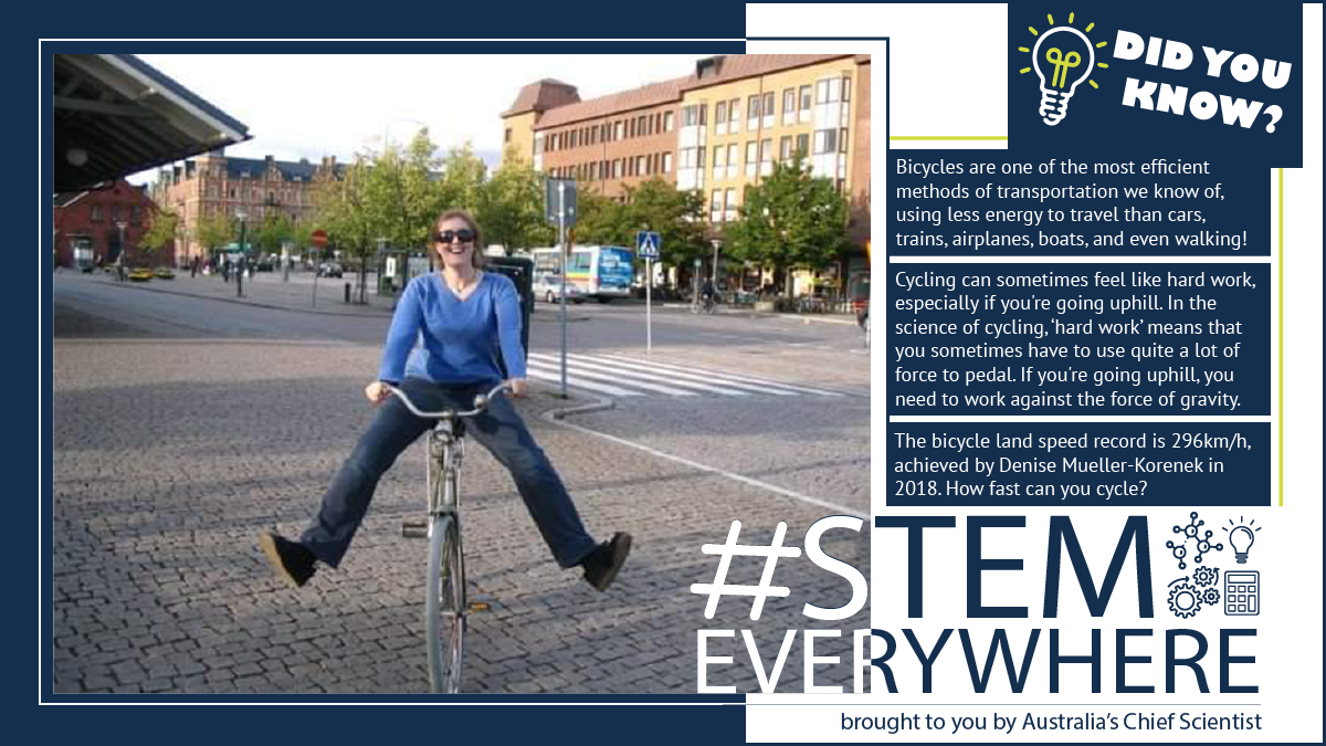 STEM Everywhere - bikes