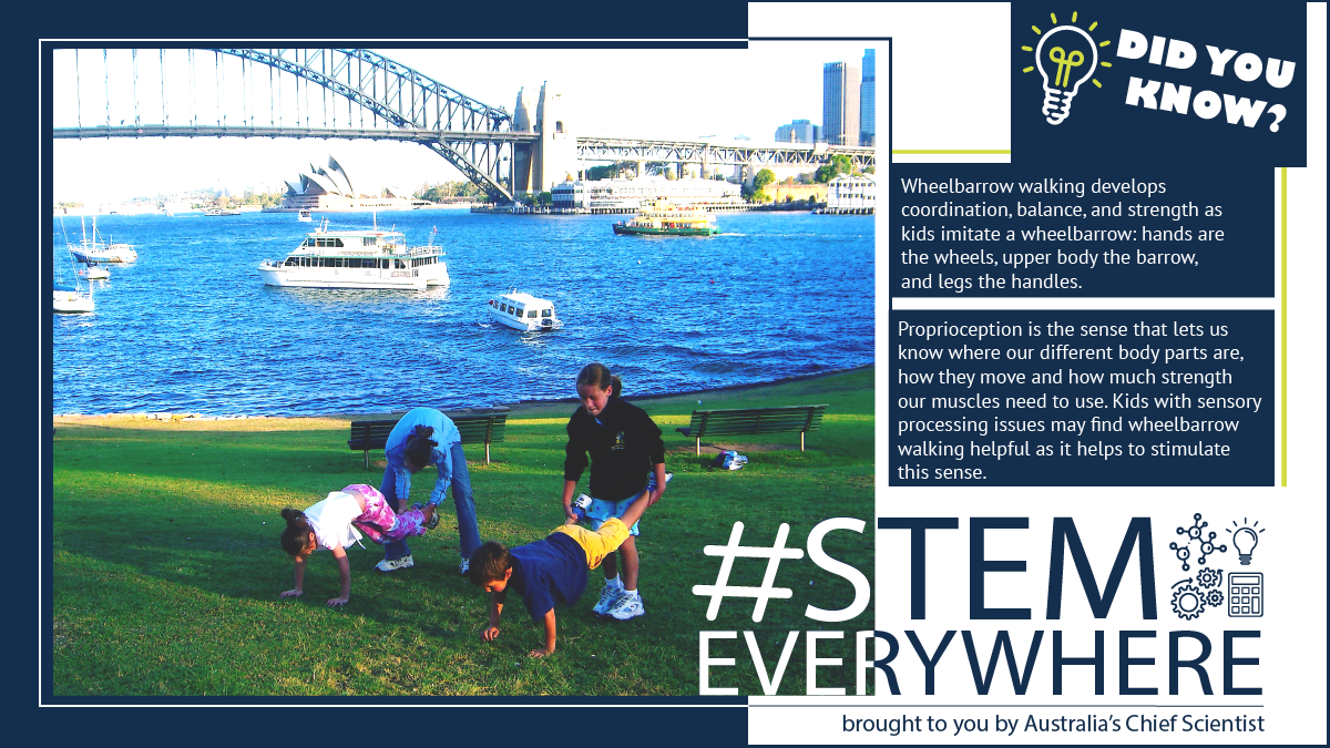 STEM Everywhere - wheelbarrow