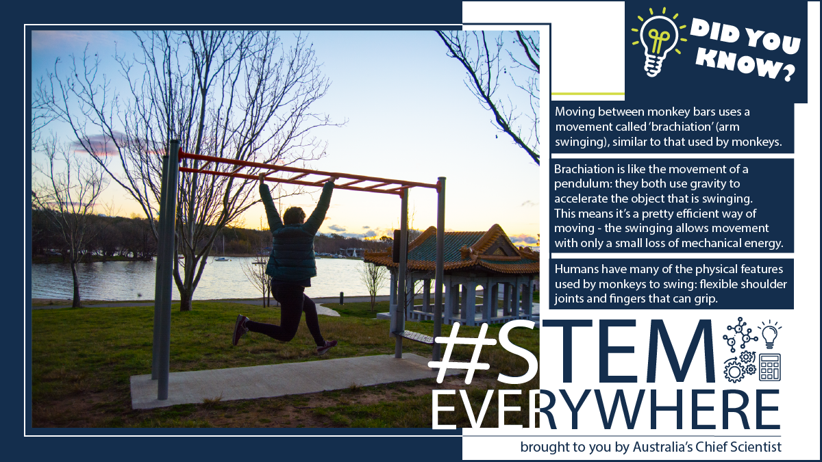 Person swinging on monkey bars