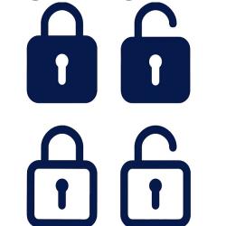 Unlocking the academic library.