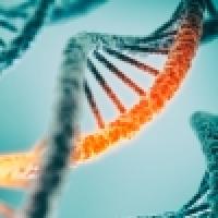 DNA strands being altered