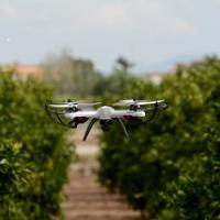 AI in farming