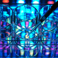 Pipette poised over one of six petri dishes