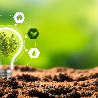 Lit up light-bulb containing a budding tree, surrounded by icons representing sustainable energy options