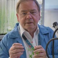 Prof Jim Peacock in lab coat working with plants